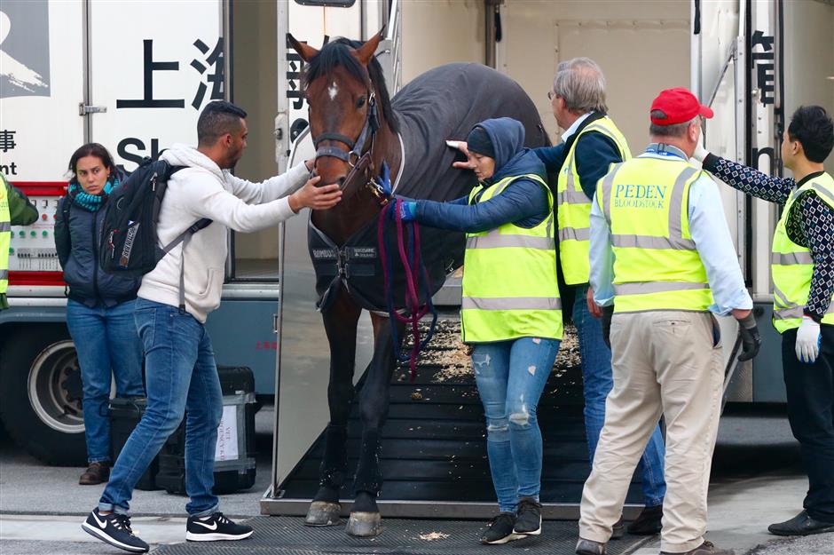 China making good progress jumping over hurdles in equestrian industry