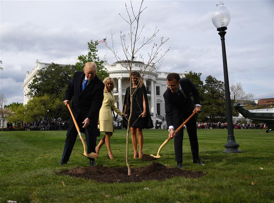 Missing White House tree planted by Trump, Macron actually in quarantine