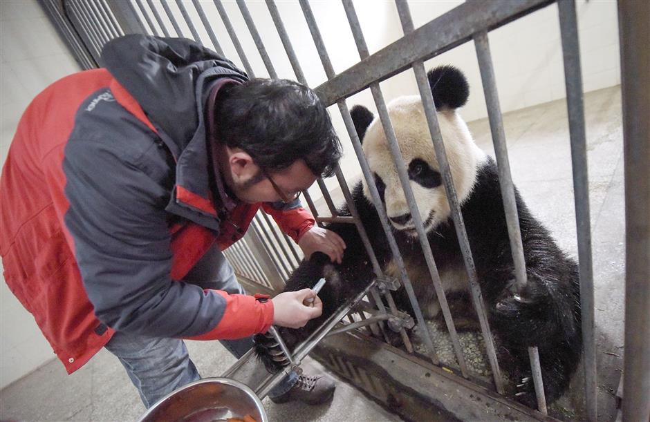 A decade after the Wenchuan quake, life goes on