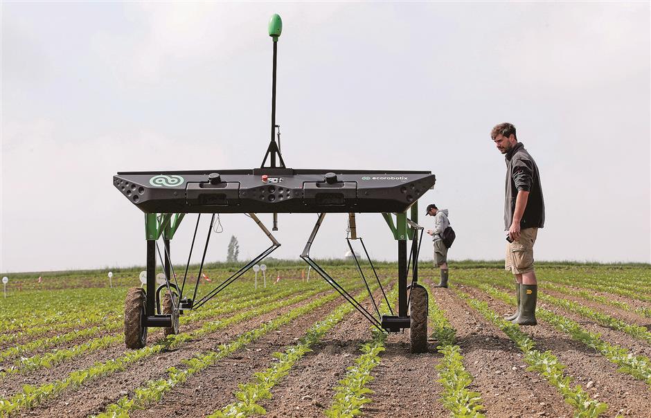 Agrochemical giants challenged by AI transformation of farming