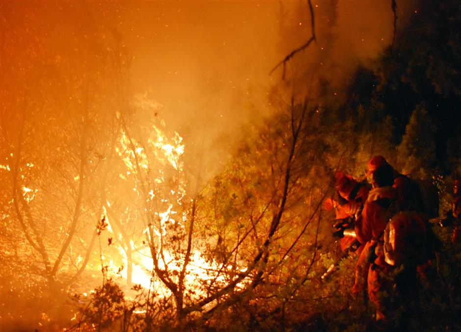 Forest fire put out in Inner Mongolia