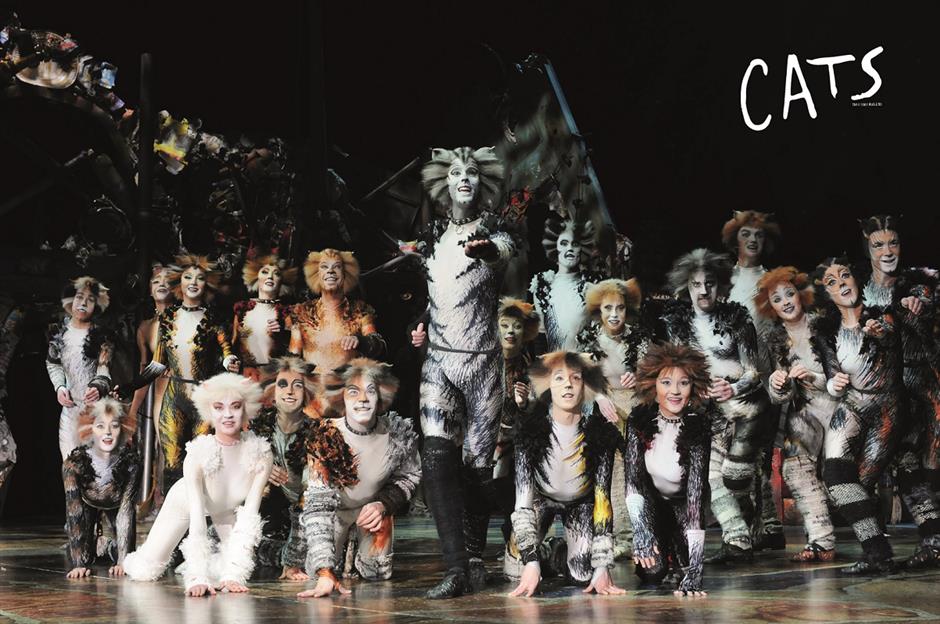 'Cats' ready to get its claws into Shanghai