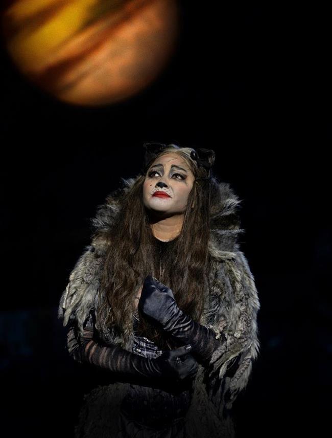 'Cats' ready to get its claws into Shanghai