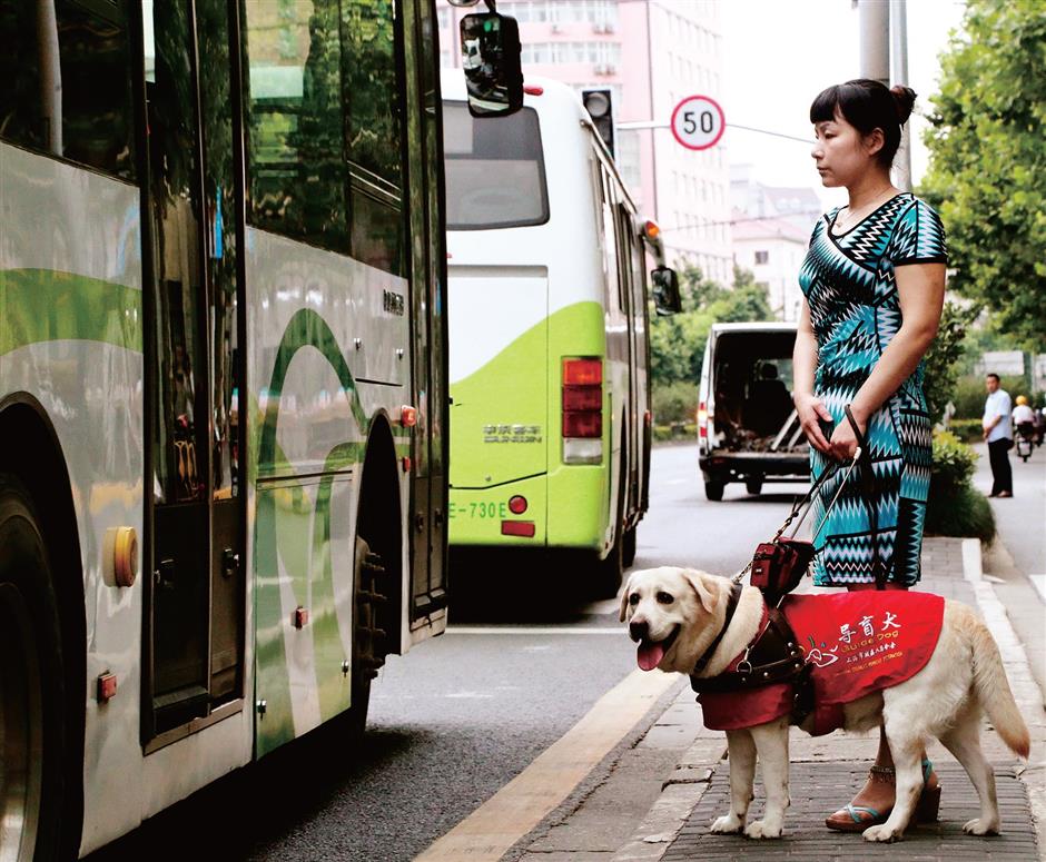 Guiding eyes for visually impaired