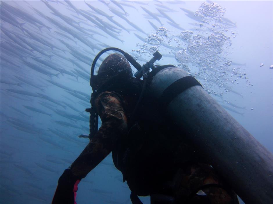 Chinese diving duo changing lives, just one shark at a time