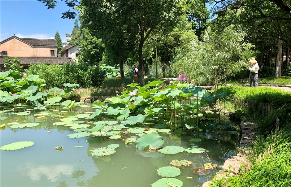 Wuzhen: a treat for old and young alike