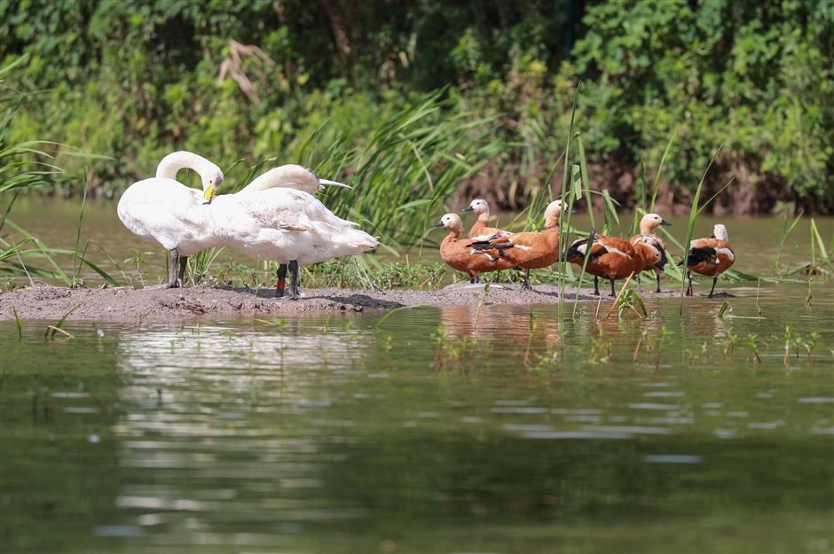 Boat rides at animal park