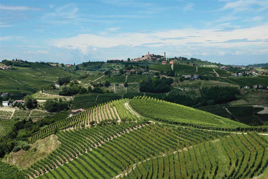 Monferrato, an idyllic oasis of vineyards