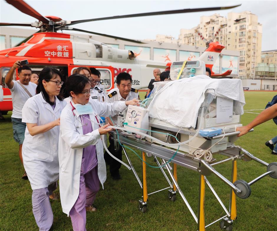 Newborn twins' flight of fate 