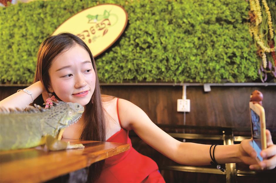 Cambodia's first reptile-themed cafe slithers into people's hearts