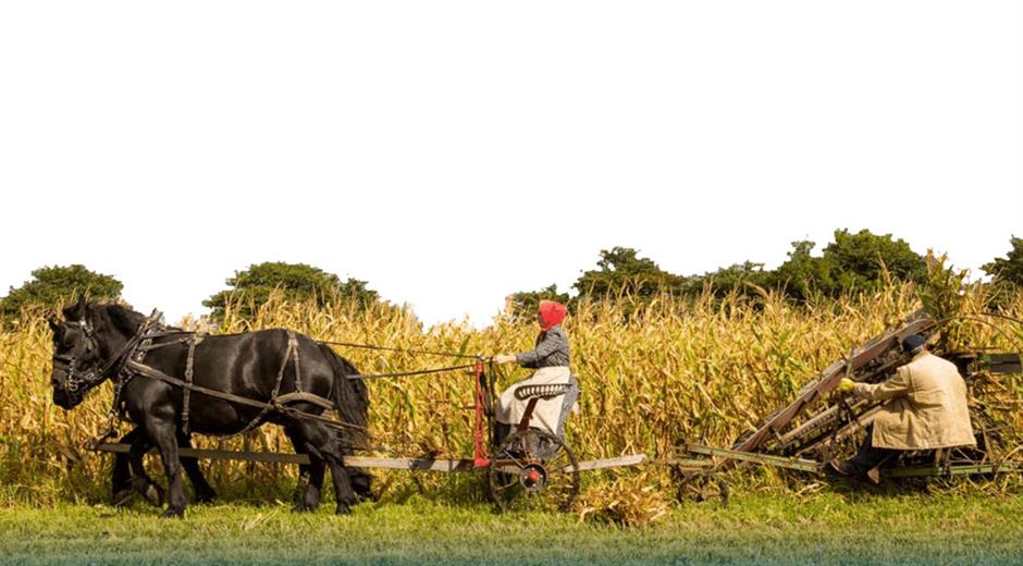 A divided America is losing touch with  farmers and dependence on the land