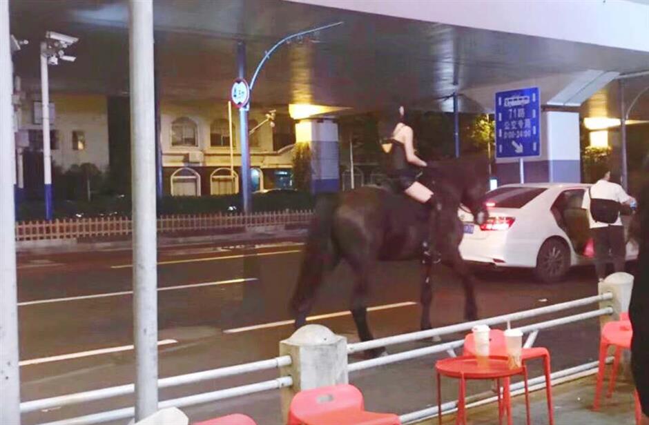 Black Beauty trots into police warning