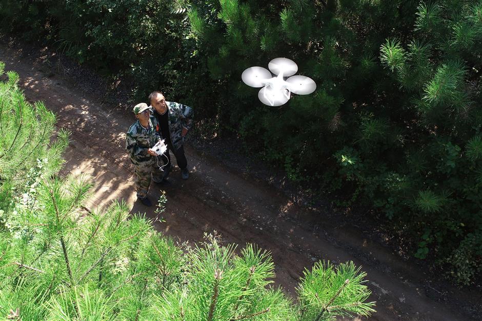 Drones: the new tools in protecting forests, wildlife