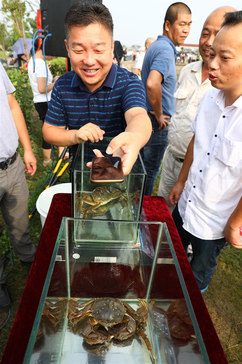 Luojing farmers celebrate crab, fish harvest