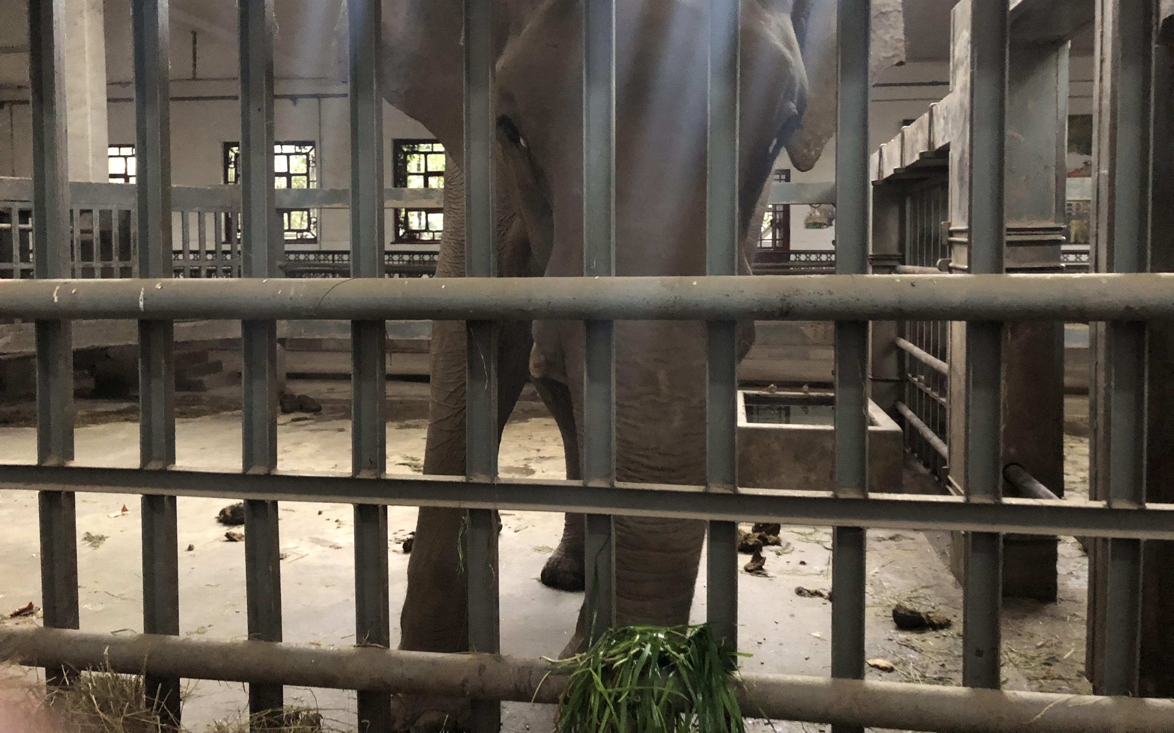 Keep warm this winter with extra mealworms SHINE News