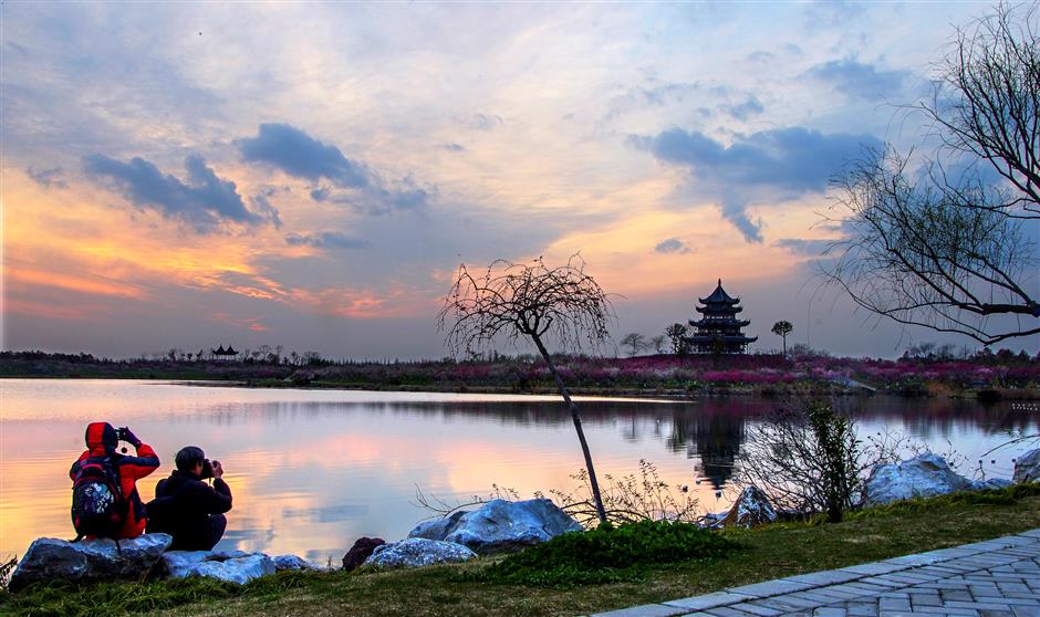 Plum blossom to greet locals during Spring Festival