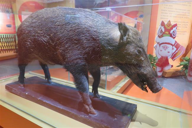 Pigs and frontier life at Hangzhou museums