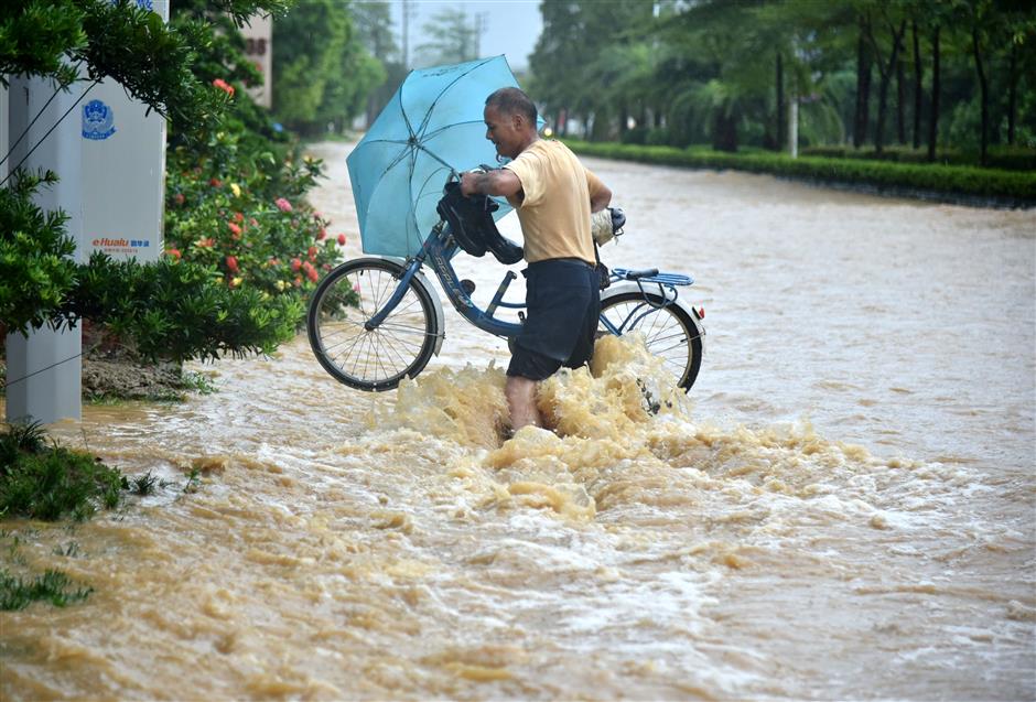 China to step up flood control in 2019: minister