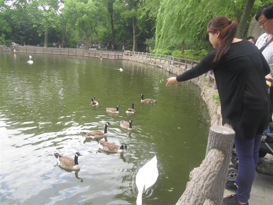 Stop feeding the animals, says zoo