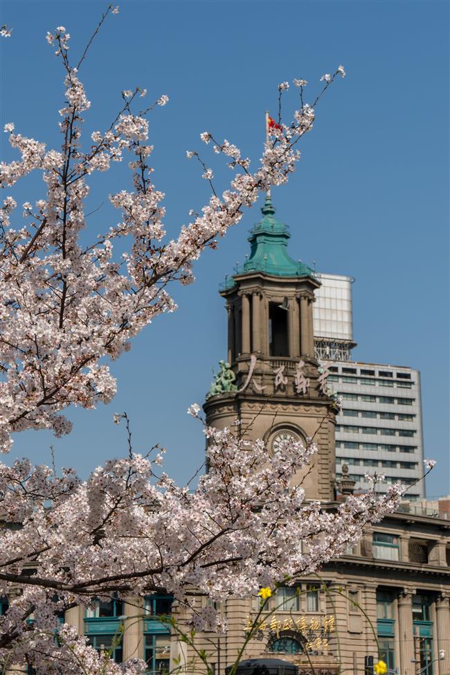 Where to see colorful spring blossoms