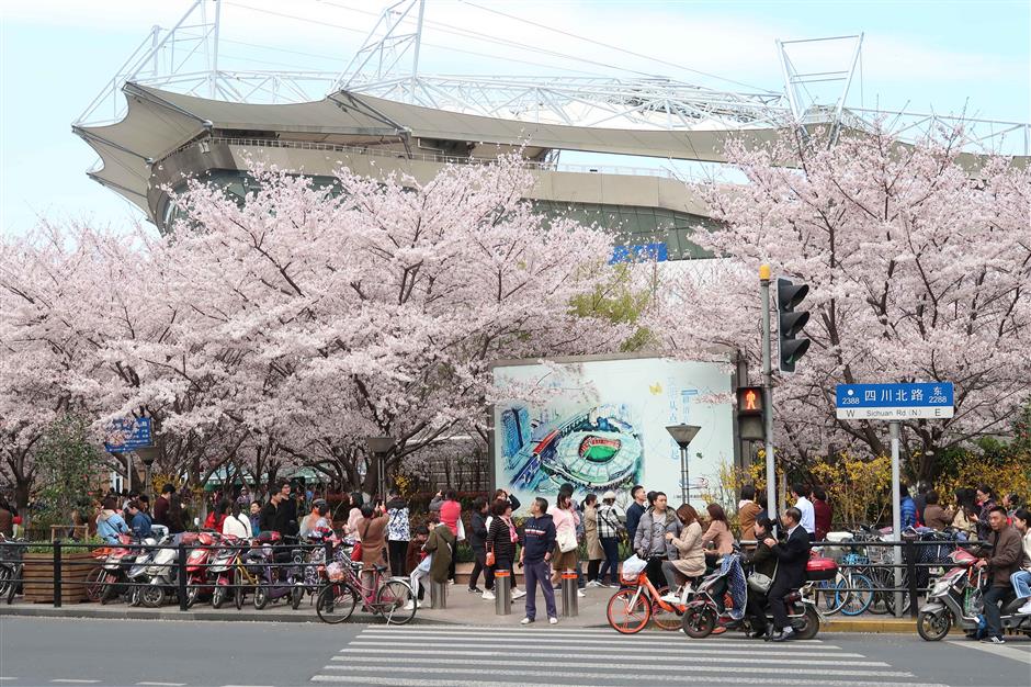 Where to see colorful spring blossoms