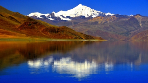 Travel agency to compensate tourist who fell ill - SHINE News