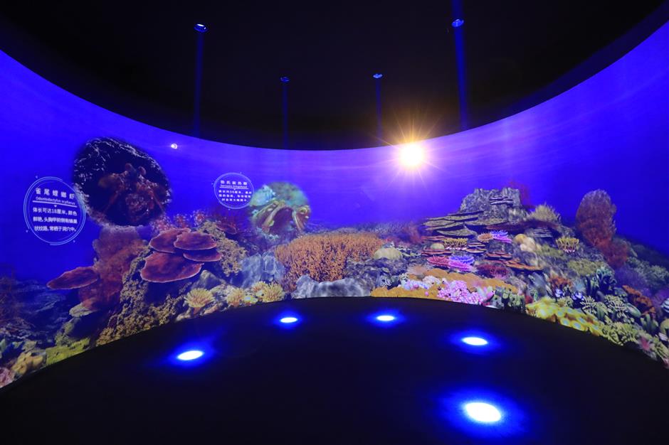 Exhibition highlights ocean pollution