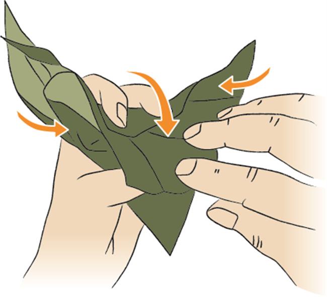 Wrap your festival spirit in Zongzi