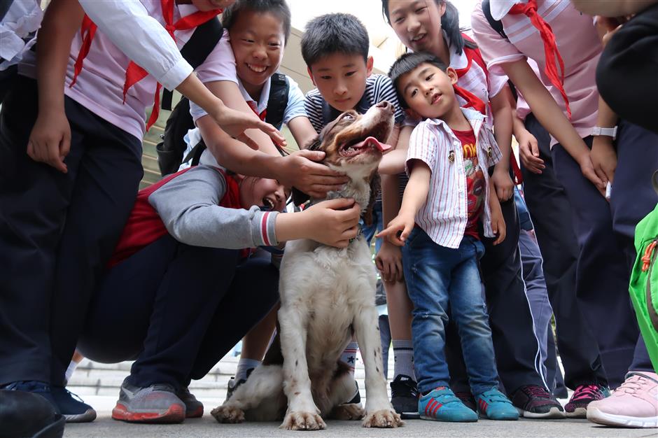 A unique insight into Shanghai's 'CSI'