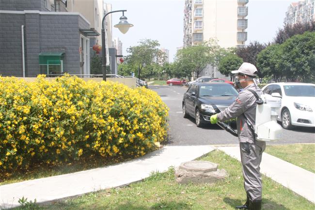 City launches anti-mosquito campaign