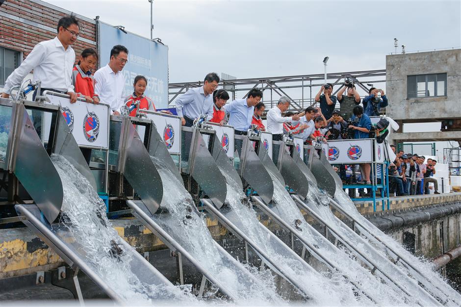 Largest-scale fish release