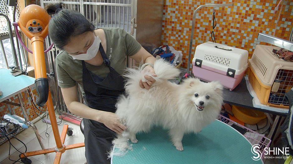 The one-dog policy, and other fun facts about having pets in Shanghai