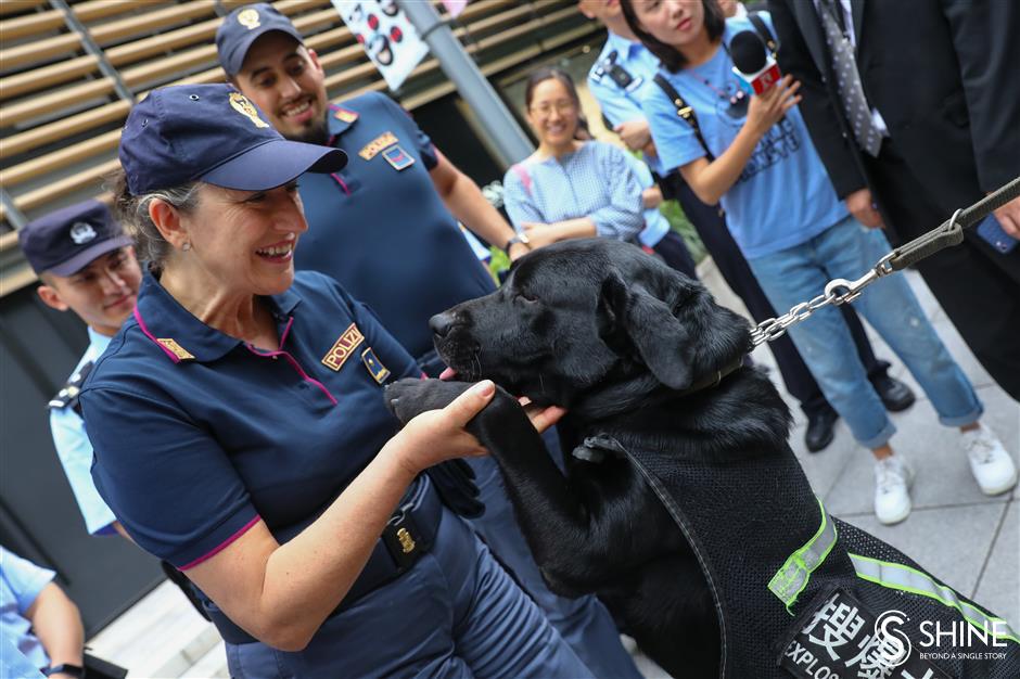 Italian police in Shanghai: It's a safe city