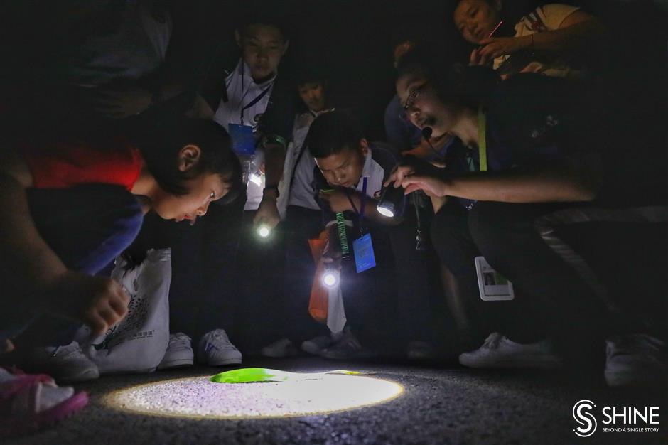 Students explore botanical garden at night