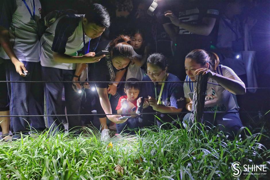 Students explore botanical garden at night