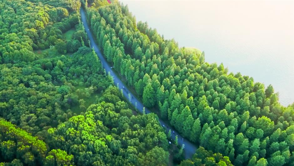 A drone's eye view of island life