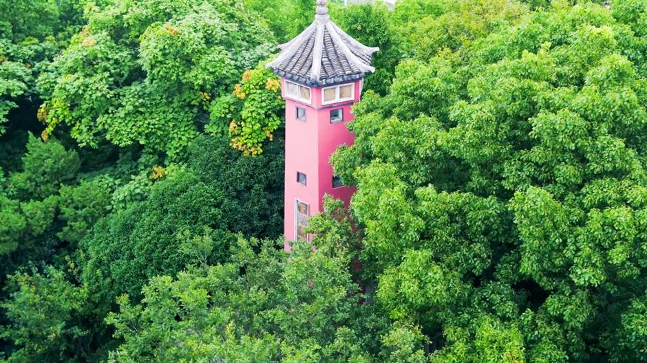 A drone's eye view of island life