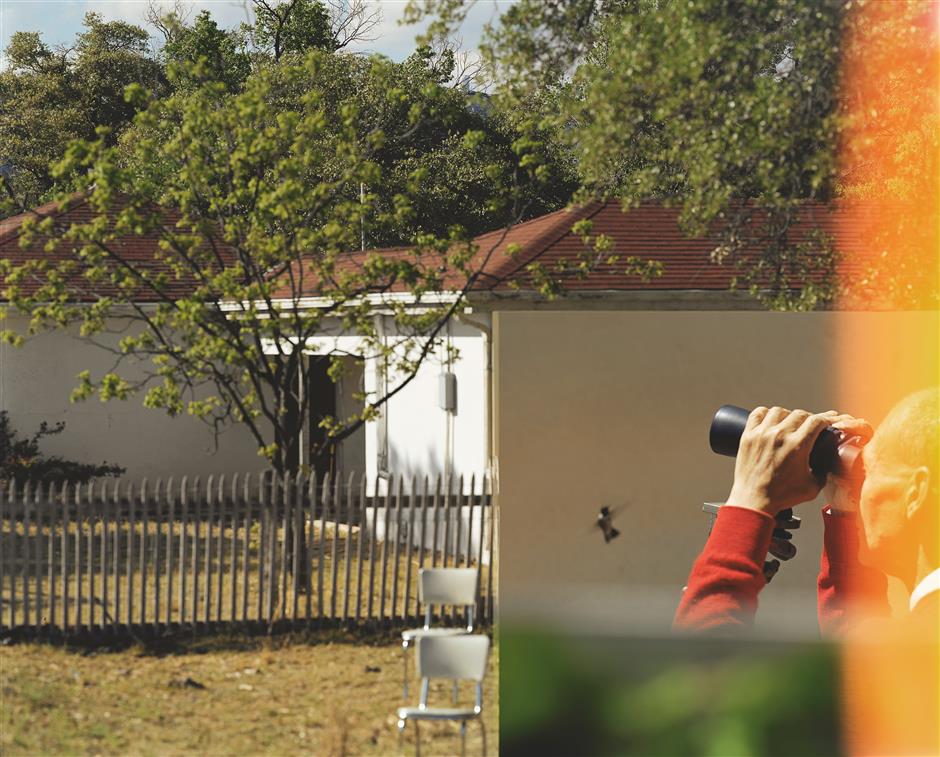 Fleeting moment of birds' presence captured in photographs