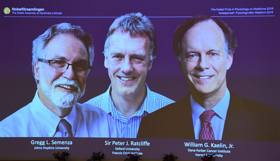 3 researchers share Nobel Medicine Prize on study of oxygen on body