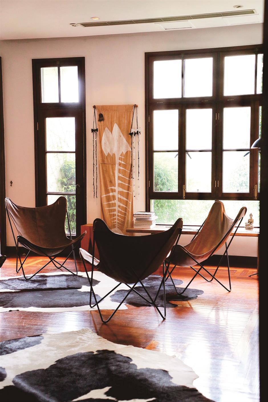 Creating a home of peace and curiosity