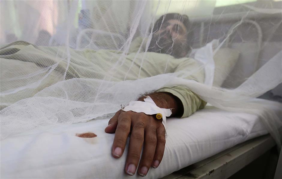 44,000 hit in Pakistan as dengue cases soar