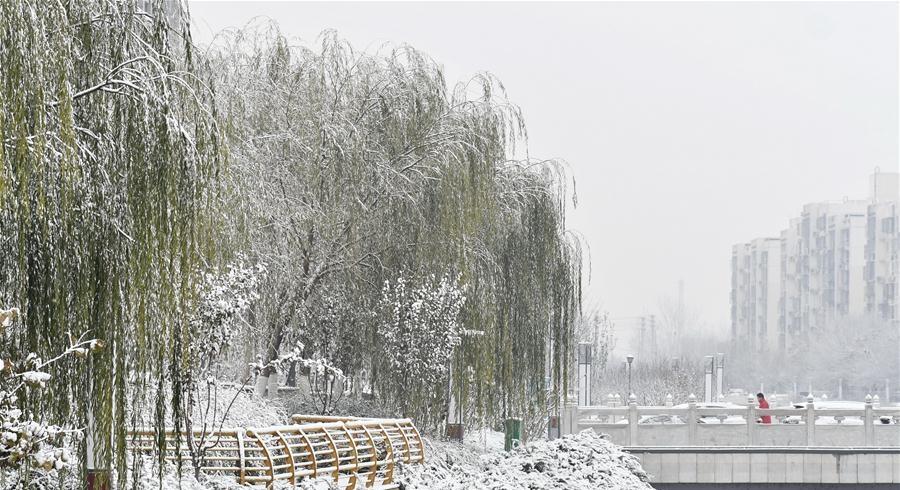 Beijing embraces timely first snow