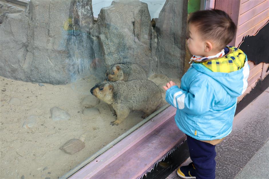 Wild animal park marking Year of the Rat