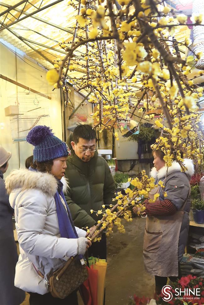 City enters into spirit of the Spring Festival