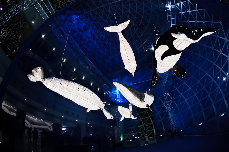 Whale exhibit gives new meaning to 'immersive' experience