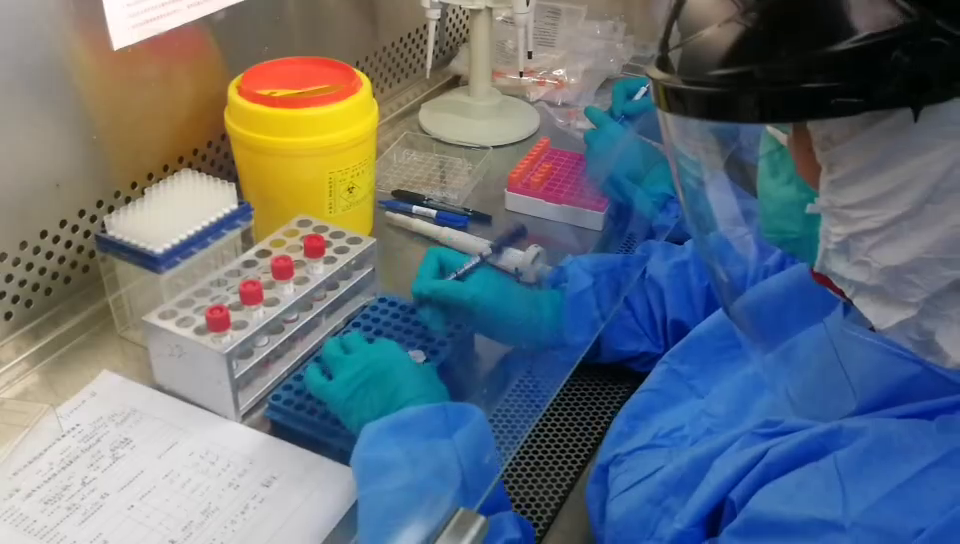 Center for Disease Control and Prevention makes results available