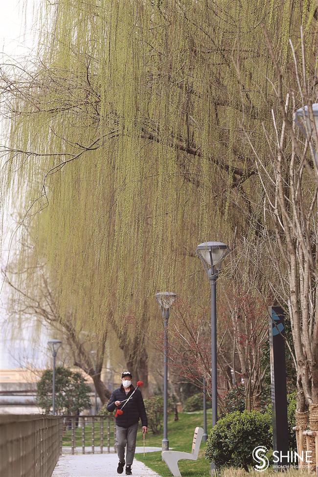 Shanghai begins to bloom in the spring air