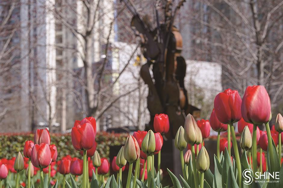 Shanghai begins to bloom in the spring air