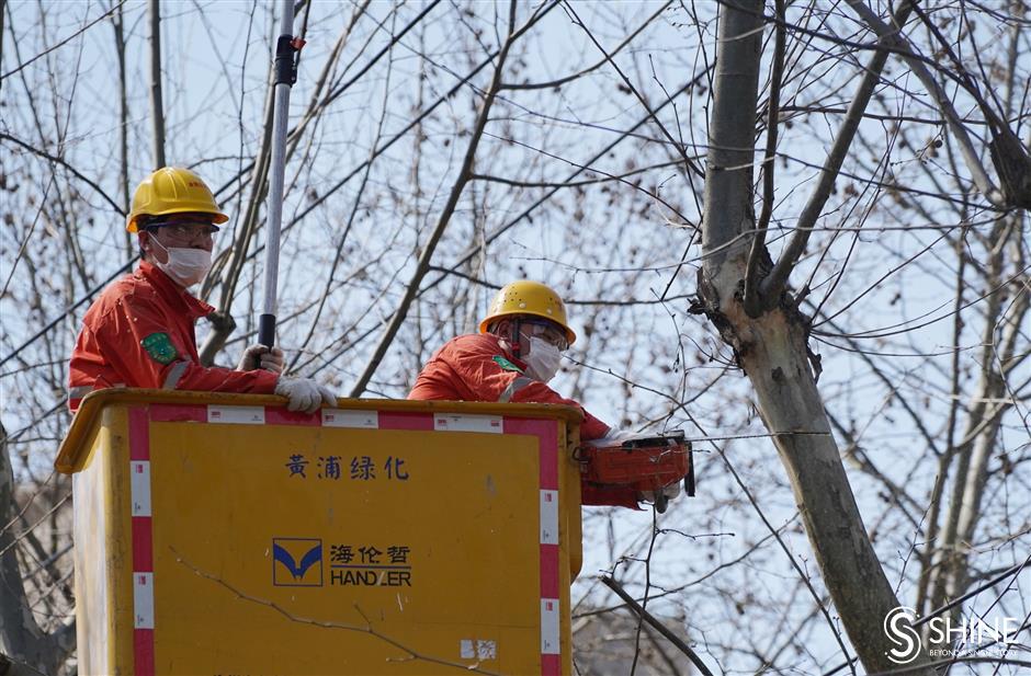 Workers busy dealing with catkin problem