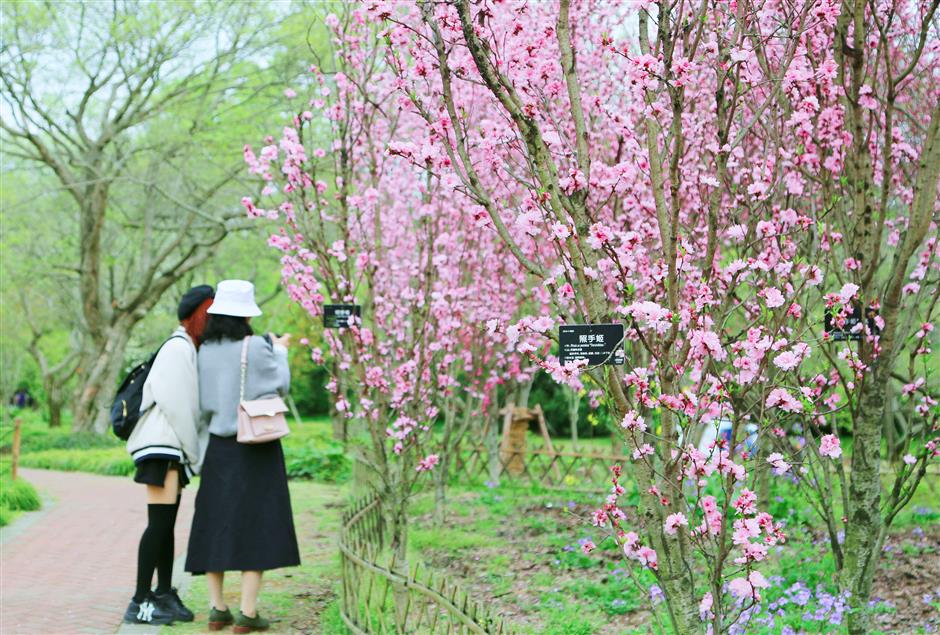 International flower show delayed until April